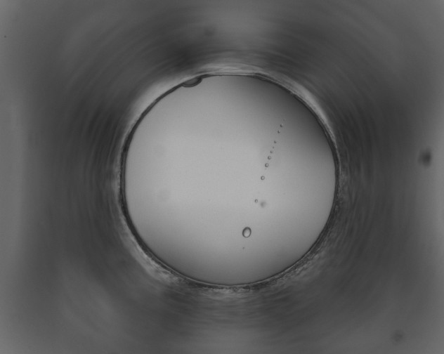 X0000091701195200708240926
