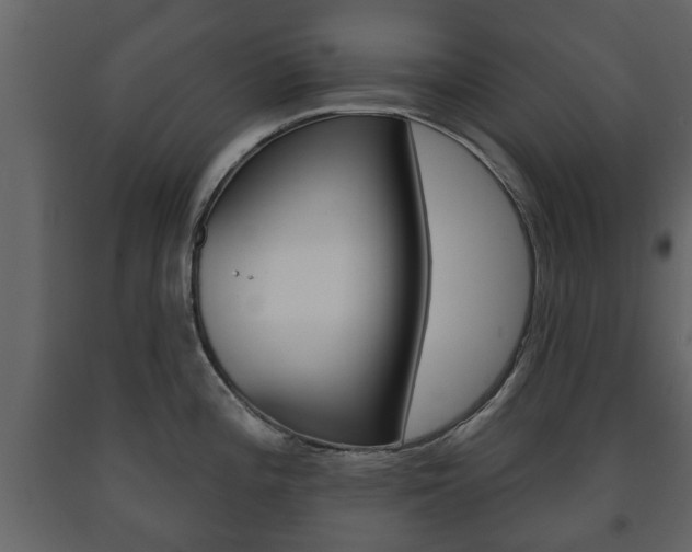 X0000091701196200708240926