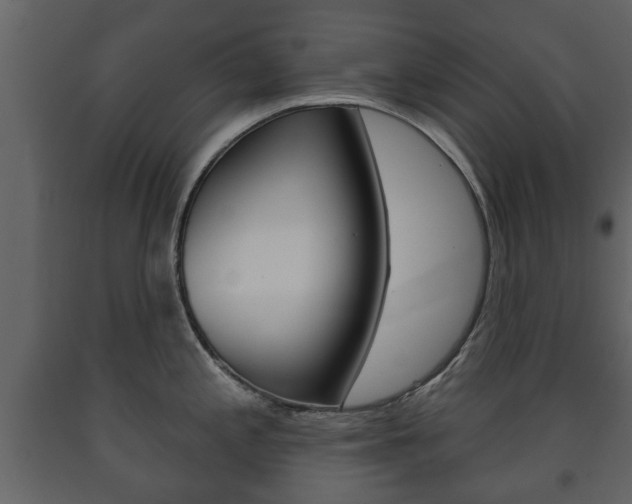X0000091701197200708240926