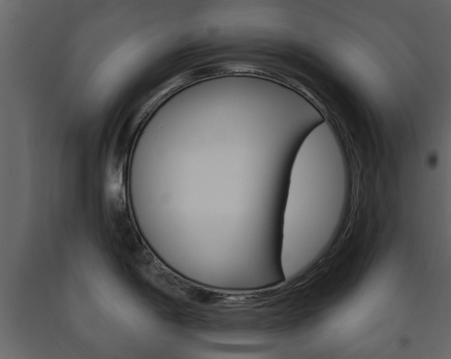 X0000091701198200708240926