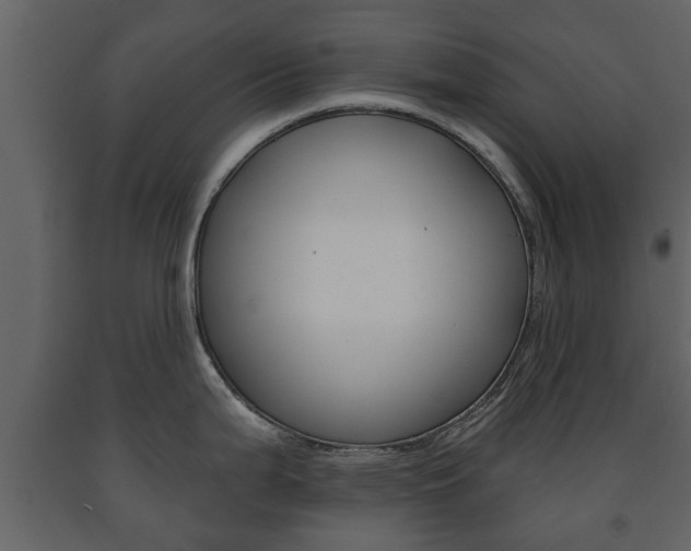 X0000091701199200708240926