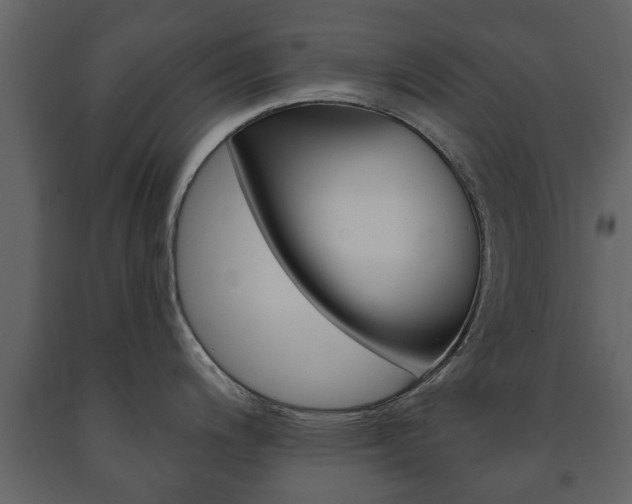 X0000091701200200708240926