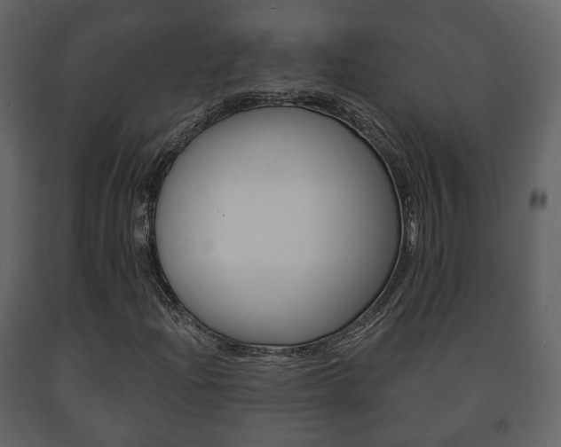 X0000091701204200708240925