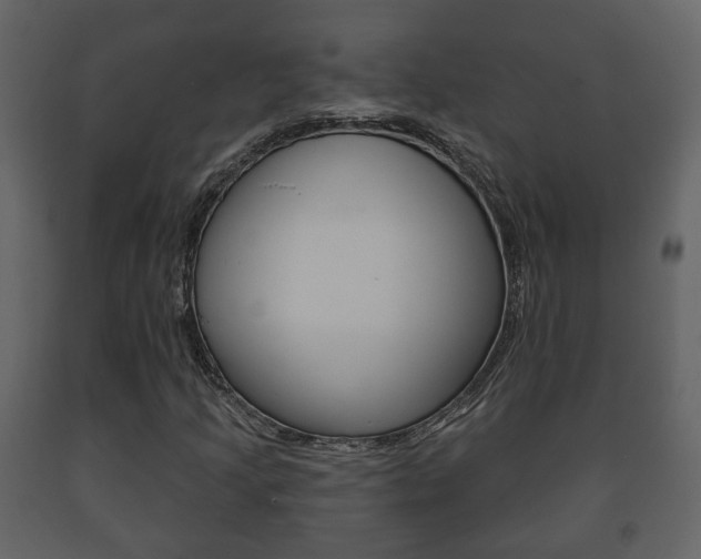 X0000091701205200708240925