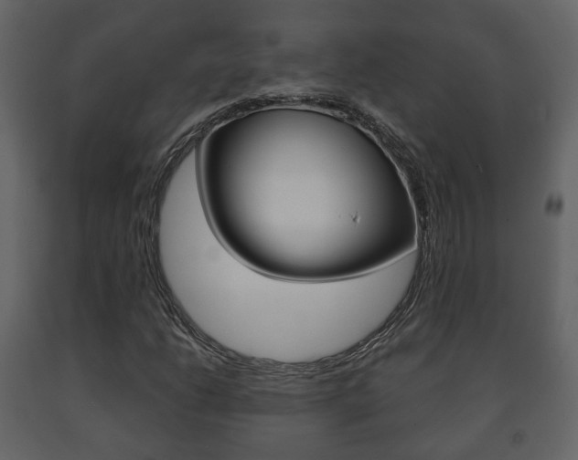 X0000091701206200708240925