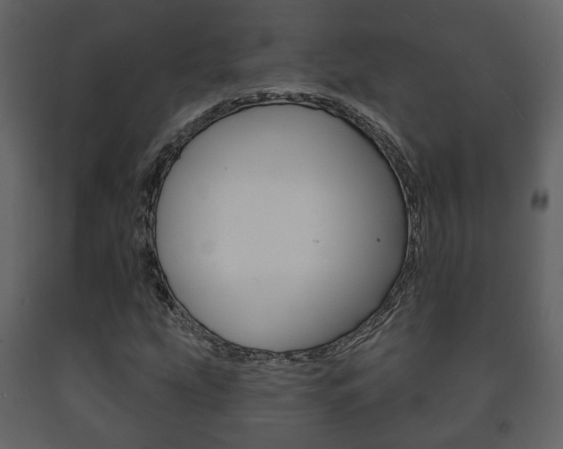 X0000091701207200708240925