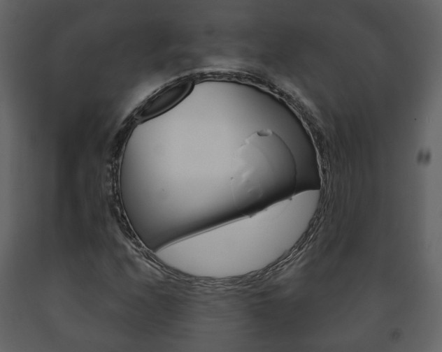 X0000091701208200708240925