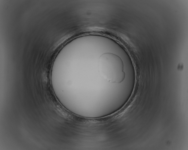 X0000091701209200708240925