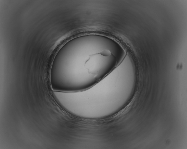 X0000091701210200708240925