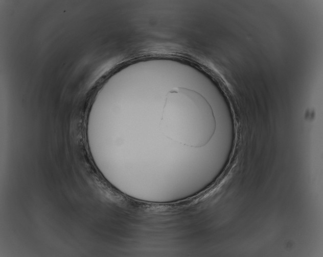 X0000091701211200708240925