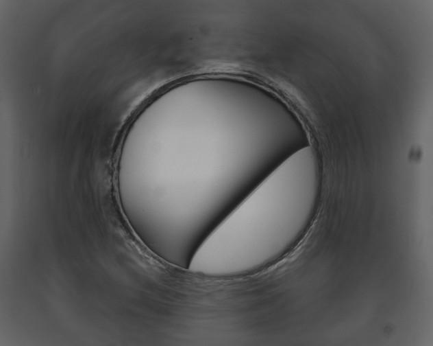 X0000091701212200708240925