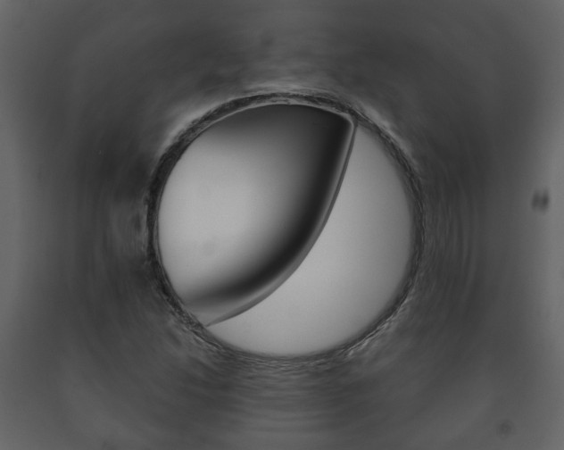 X0000091701214200708240925