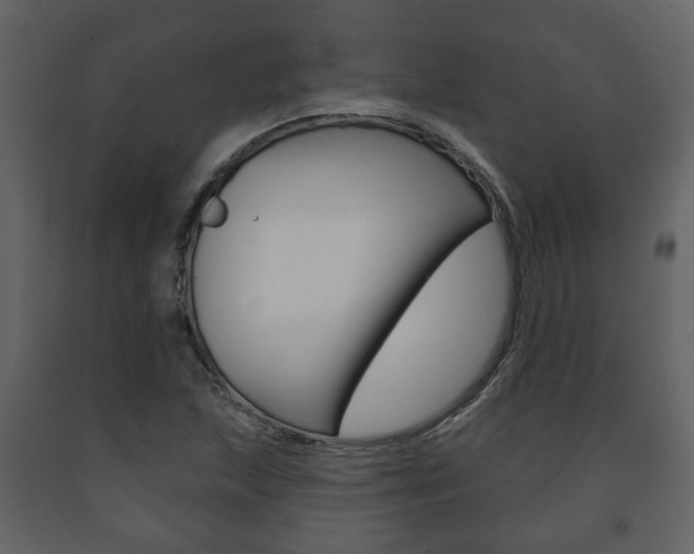 X0000091701215200708240925