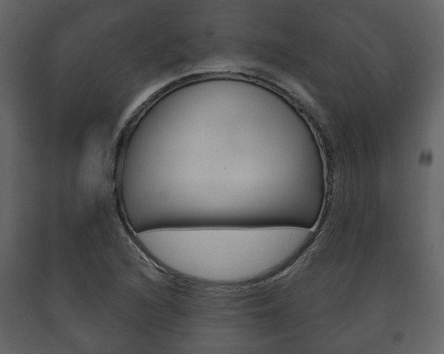 X0000091701216200708240925