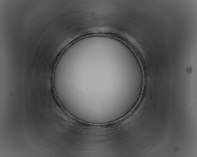 X0000091701217200708240925