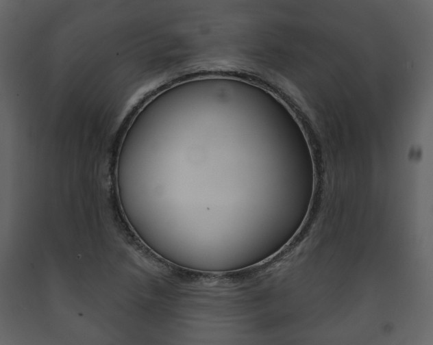 X0000091701218200708240925