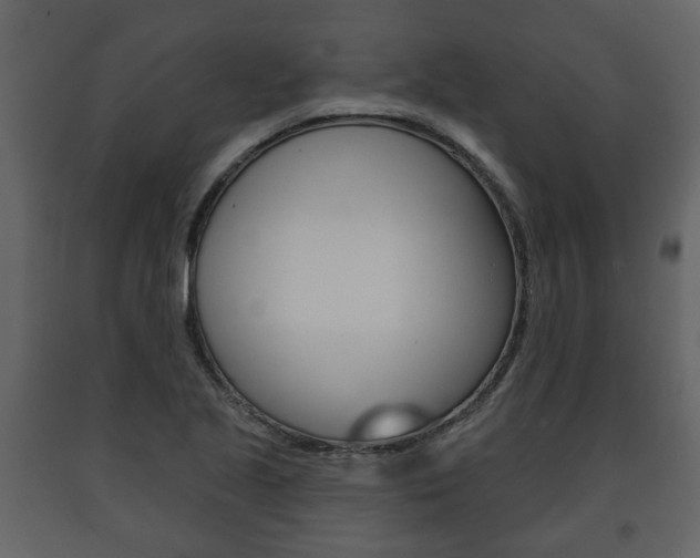 X0000091701221200708240925
