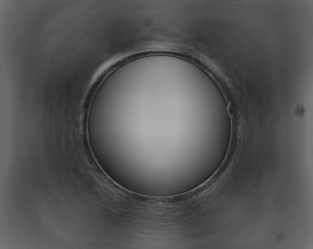 X0000091701222200708240925