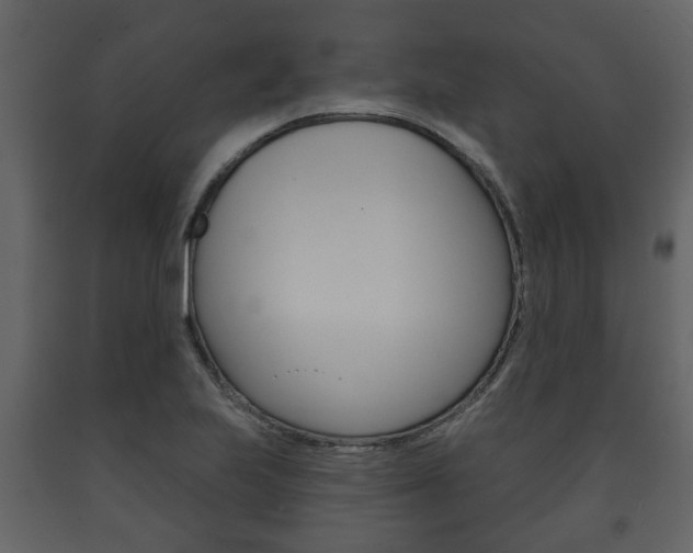 X0000091701223200708240925