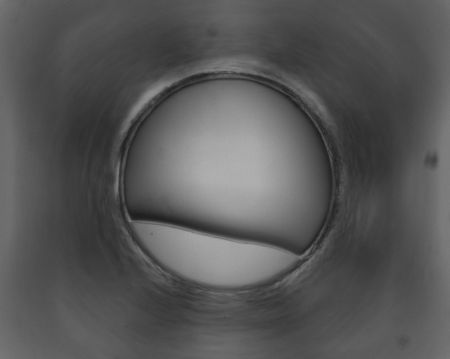 X0000091701224200708240925