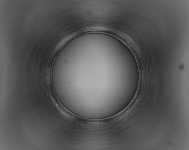 X0000091701225200708240925