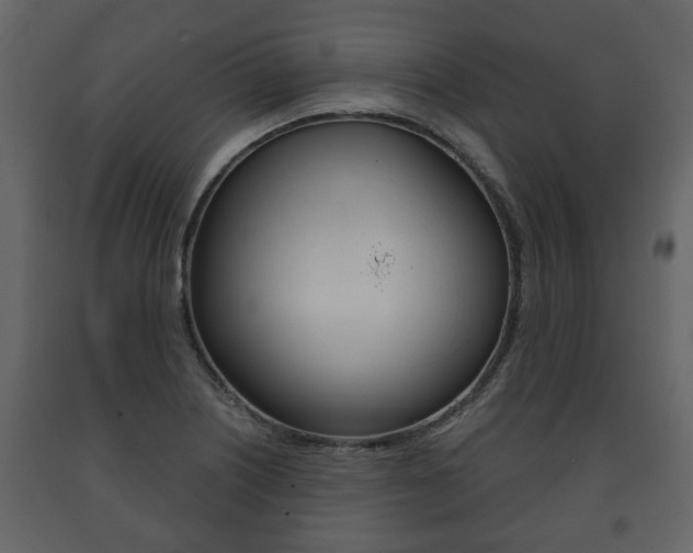 X0000091701226200708240925