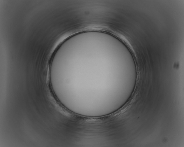 X0000091701227200708240925
