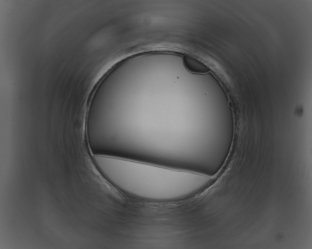 X0000091701228200708240925