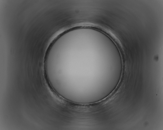 X0000091701229200708240925