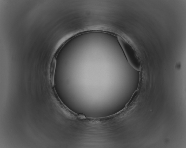 X0000091701230200708240925