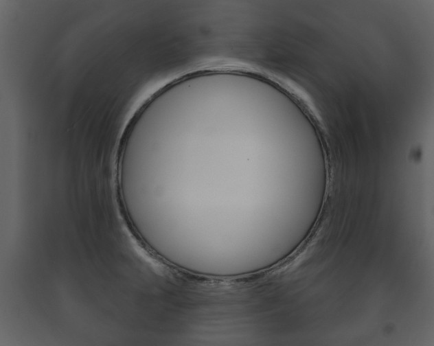 X0000091701231200708240925