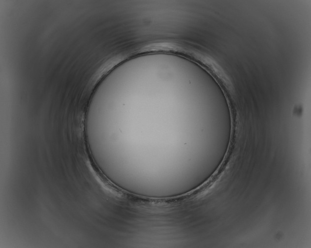 X0000091701233200708240925