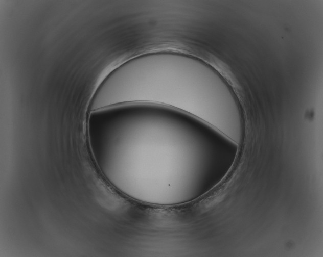 X0000091701234200708240925