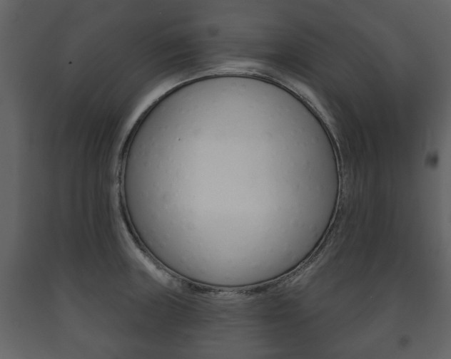 X0000091701235200708240925