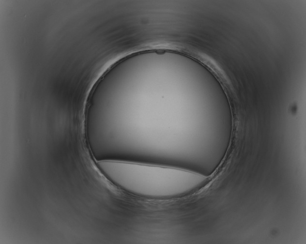 X0000091701236200708240925