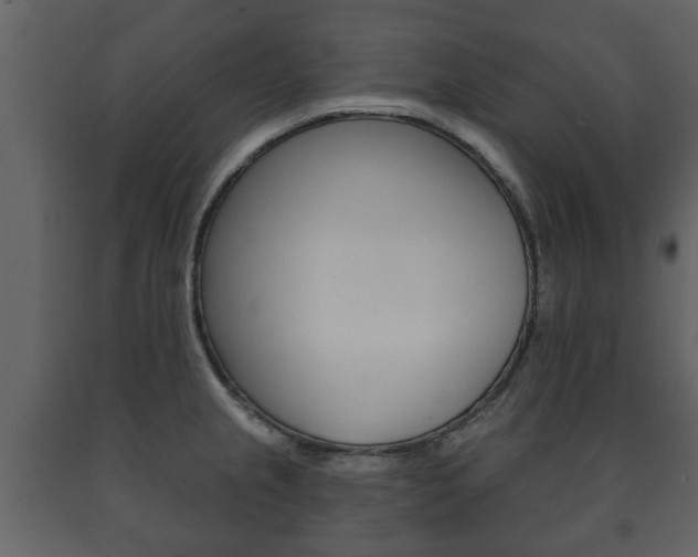 X0000091701237200708240925