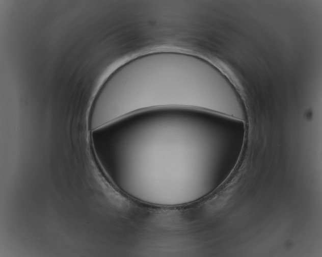 X0000091701238200708240925