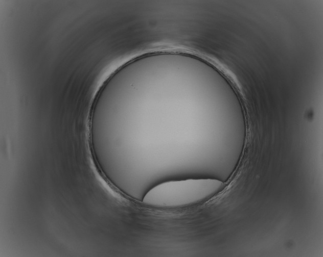 X0000091701239200708240926