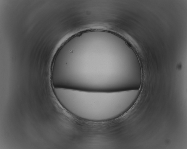 X0000091701240200708240926