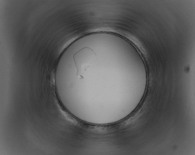 X0000091701241200708240926