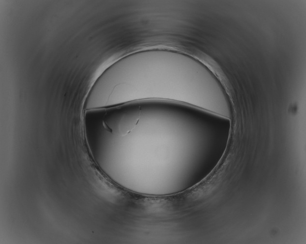 X0000091701242200708240926