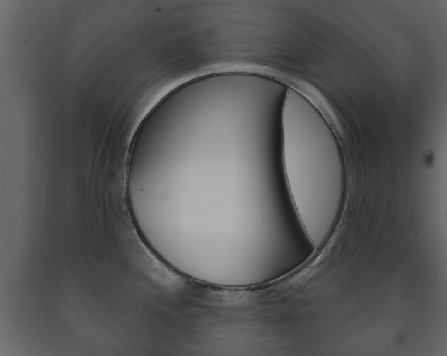 X0000091701244200708240926