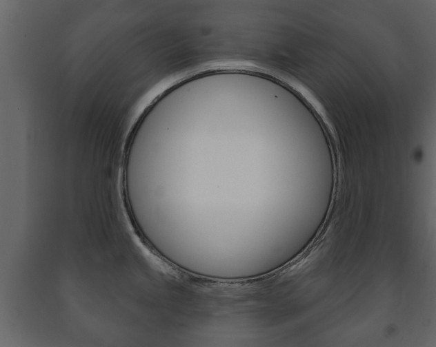 X0000091701245200708240926
