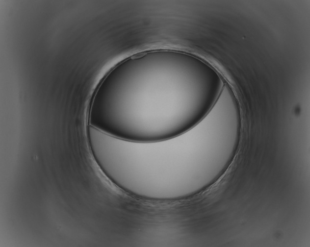 X0000091701246200708240926