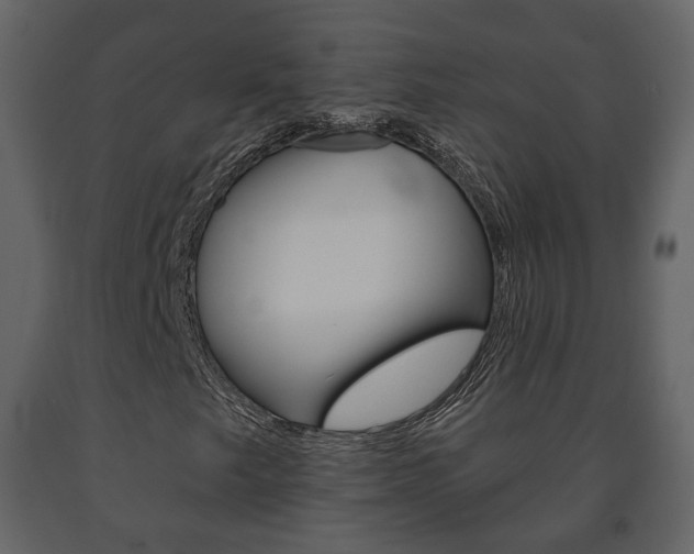 X0000091701249200708240925
