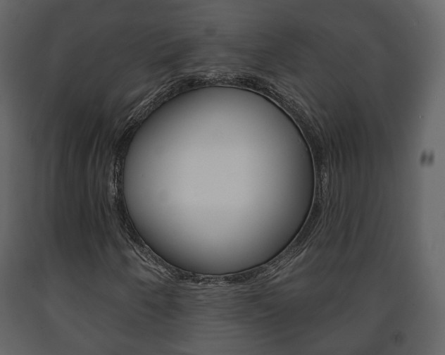 X0000091701250200708240925