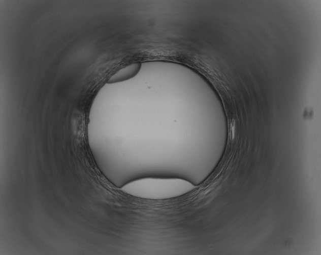 X0000091701251200708240925