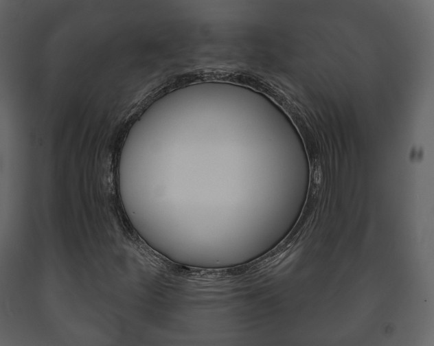 X0000091701252200708240925