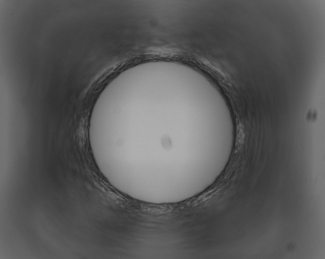 X0000091701254200708240925