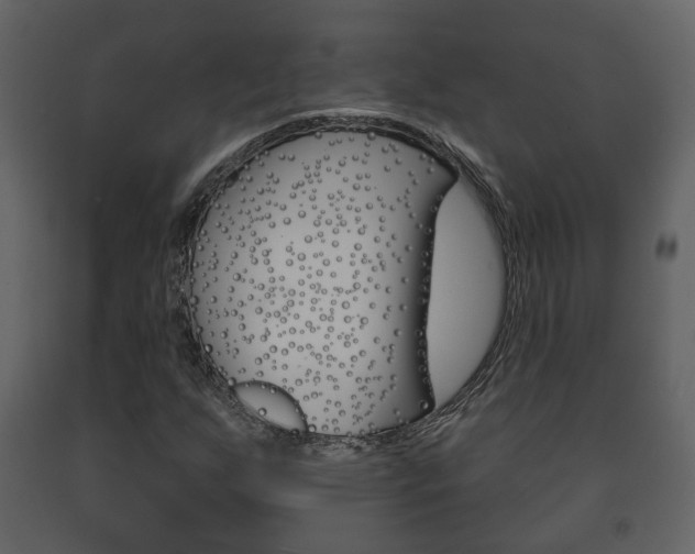 X0000091701255200708240925